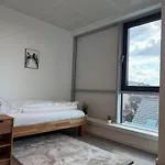 Deluxe 5-bedroom With Modern Kitchen And Two Bathrooms *